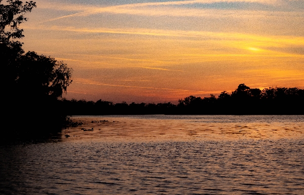 St. John's River
