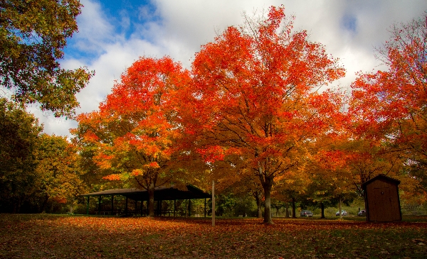Autumn at Seven Lakes State Park